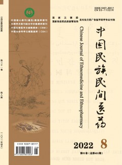 中國民族民間醫藥雜志