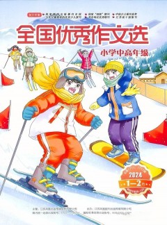全國優秀作文選雜志